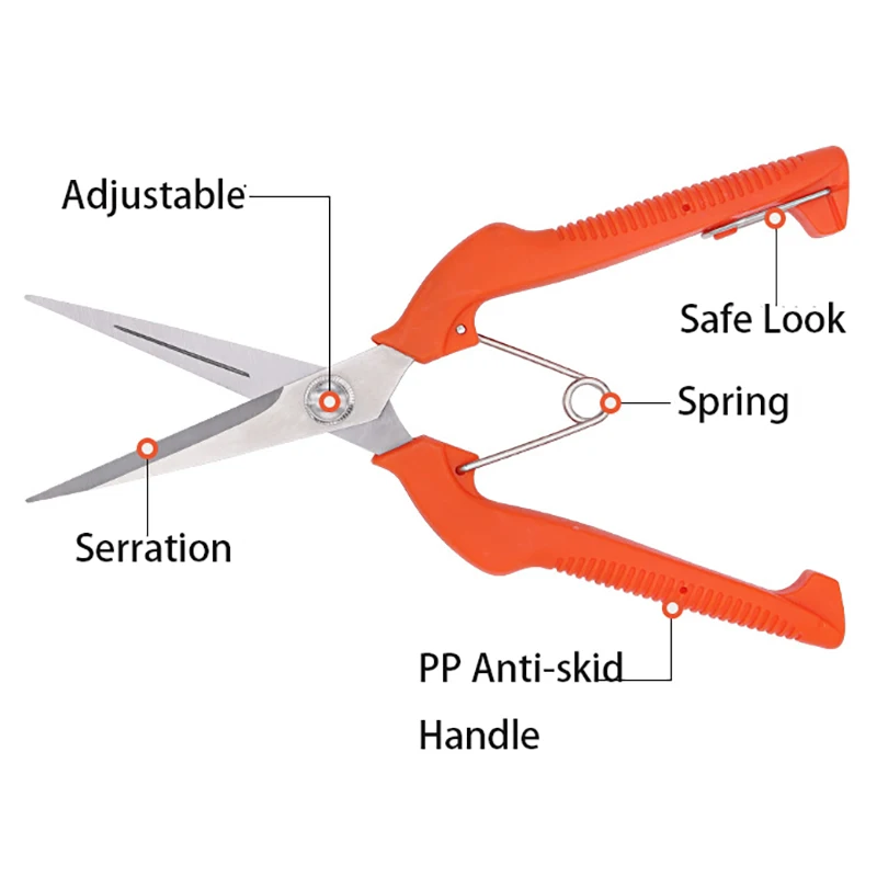 Grape Scissors Pruning Shears  - Furniture Joining Hardware review and price